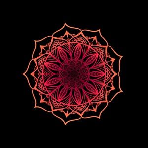 Meet your Posher, Riley